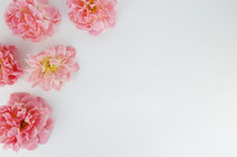 pink flowers in the corners on a white background 