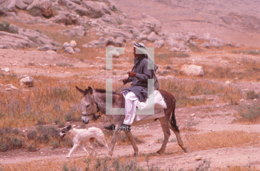 Arab man on a donkey, riding through the desert 