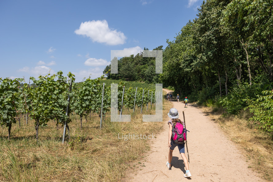 Girl hiking on path in vineyard