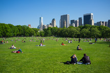 crowded Central Park 