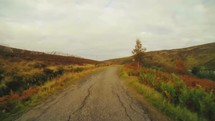 driving down a rural road in Scotland 