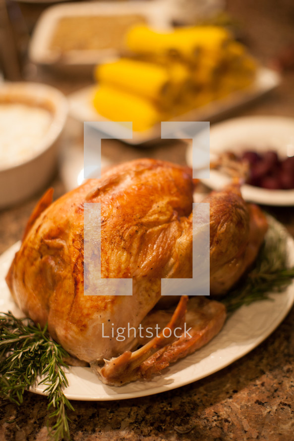 Thanksgiving turkey and dinner