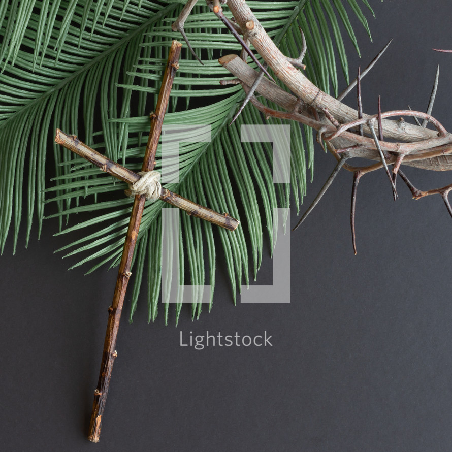 cross, palm fronds, and crown of thorns on a black background 