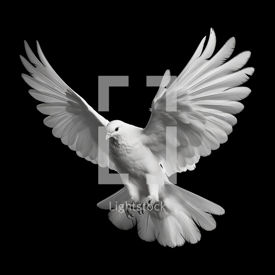 White winged dove on a black background, a representation of the New Testament Holy Spirit