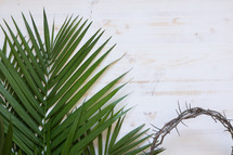 palm fronds and crown of thorns on white 