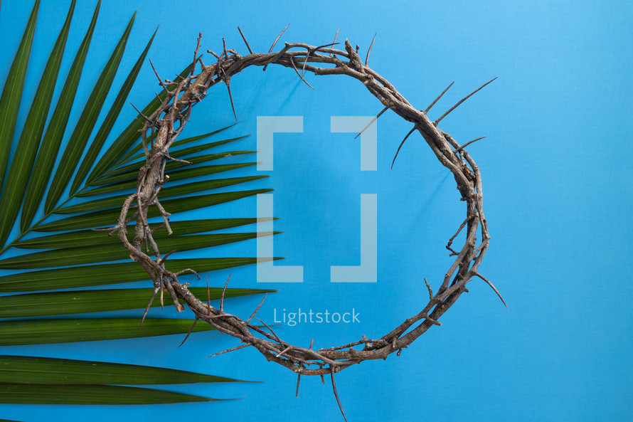 palm frond and crown of thorns on a blue background 