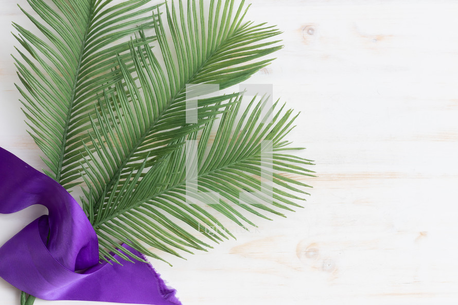 palm fronds and purple sash 