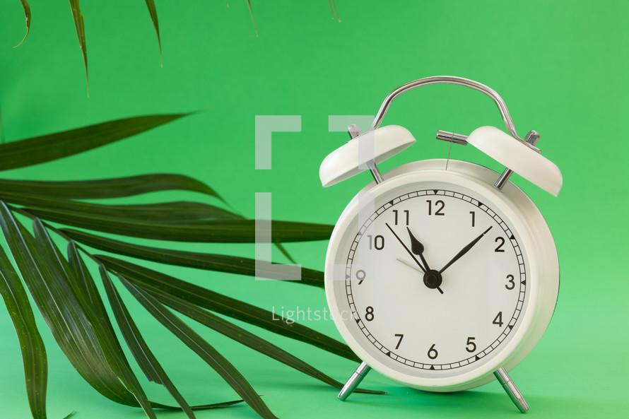 alarm clock and palm fronds 