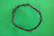 crown of thorns on a green background 