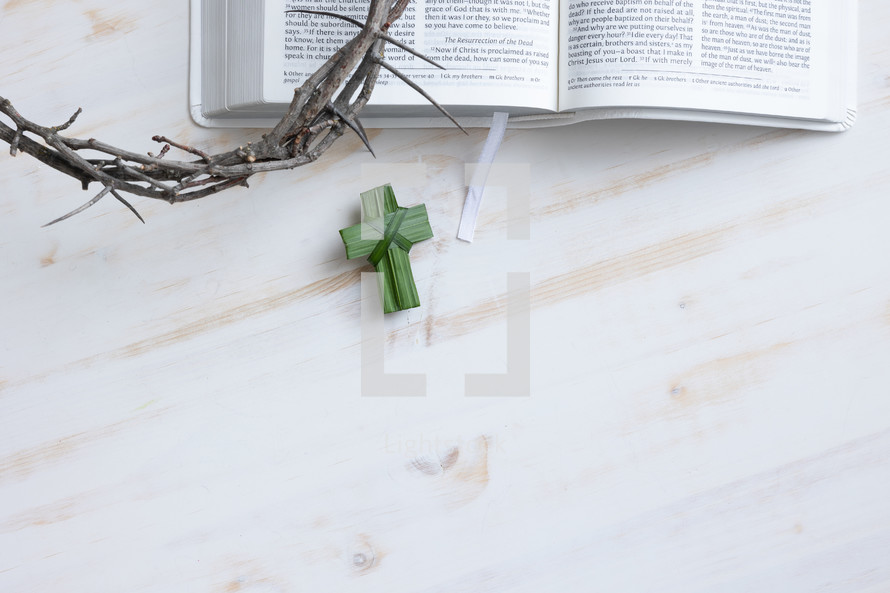 open BIble, crown of thorns and palm cross on a white wood background 