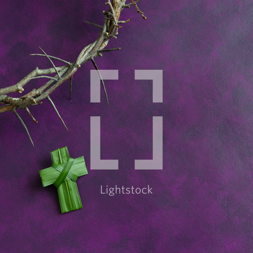crown of thorns and palm cross on a purple background 