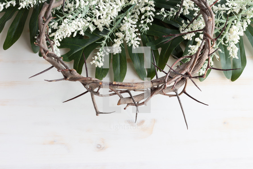 palm fronds, flowers, and crown of thorns on a white background 