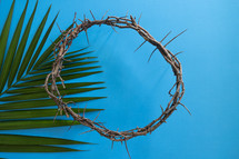 palm frond and crown of thorns on a blue background 