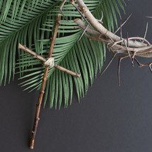 cross, palm fronds, and crown of thorns on a black background 