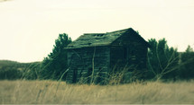 Wood shack in a field.