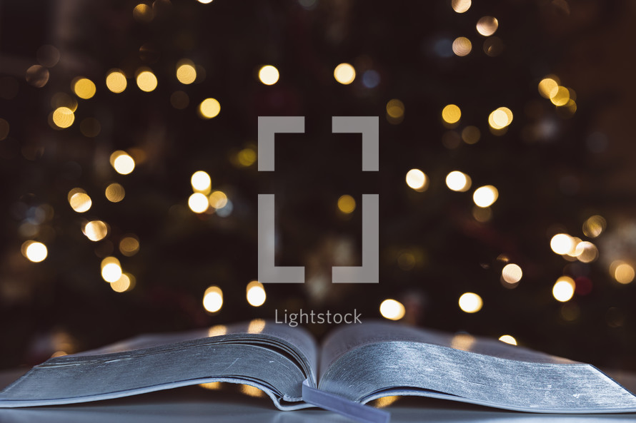 Open Bible in front of Christmas tree