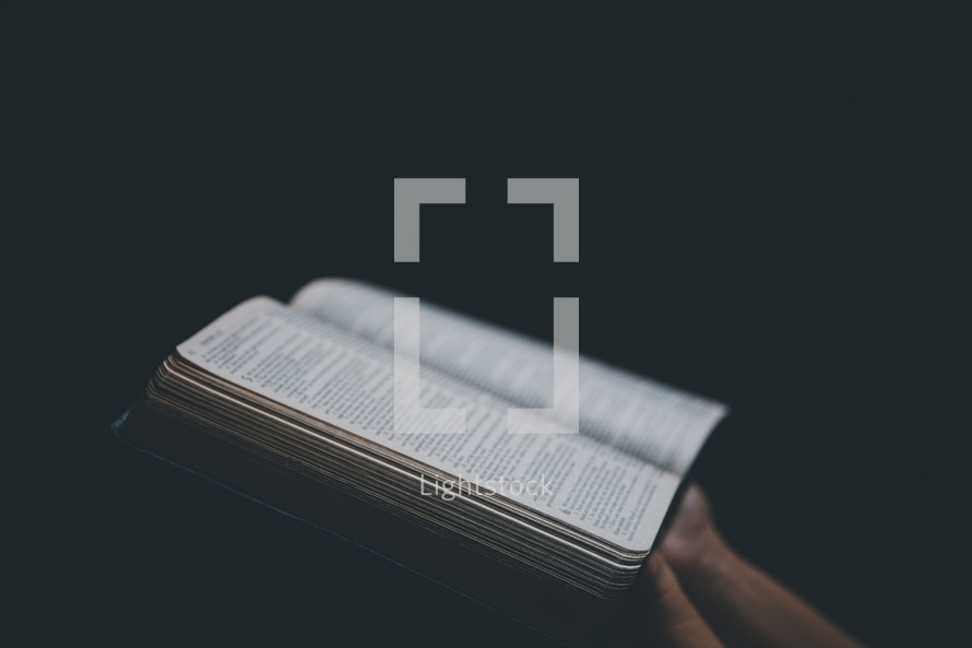 Open Bible on a black background