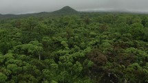 Galapagos Island drone Jungle Rainforest aerial Nature