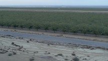Drone footage of road running alongside orchards