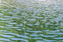 ripples in pond water reflecting sky and green trees