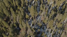 aerial view over a winer forest with snow 
