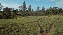 Drone footage of paths in tropical field of Honduras