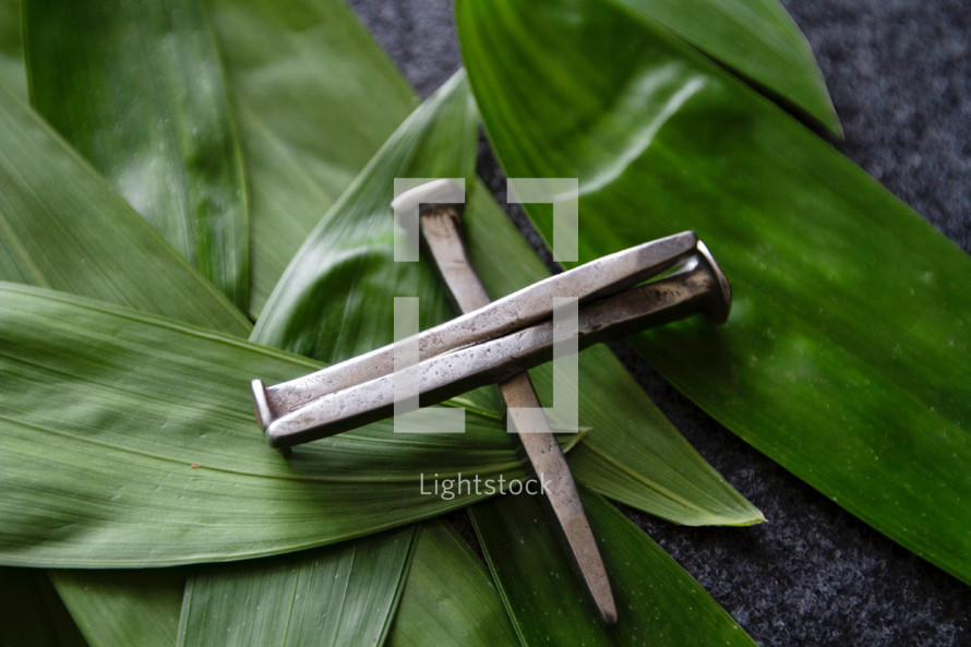 cross of nails and palm leaves 