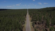 Aerial of a straight and narrow road through the forest