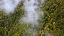 Clouds and autumn forest in the mountains