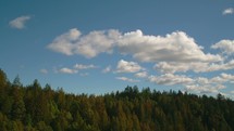 Mountain forest with clouds in the sky - panning left (1 of 4)