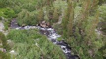 Drone footage of a river running through a forest