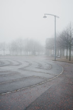 foggy park in Glasgow 
