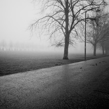 foggy park path 