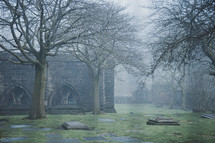 foggy cemetery 