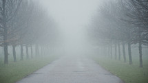 foggy path in Glasgow 