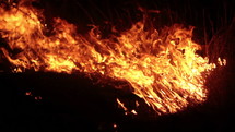 Remains of steppe burning at night. Close up.