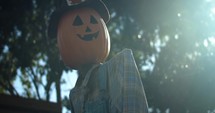 Spooky Halloween, pumpkin scarecrow decoration at pumpkin patch in autumn, fall season.