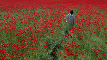 Jesus touching flowers in a beautiful field of wild poppies. High angle shot
