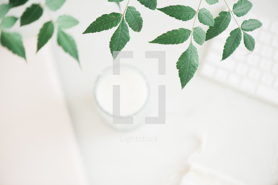 candle, branch, and computer keyboard 