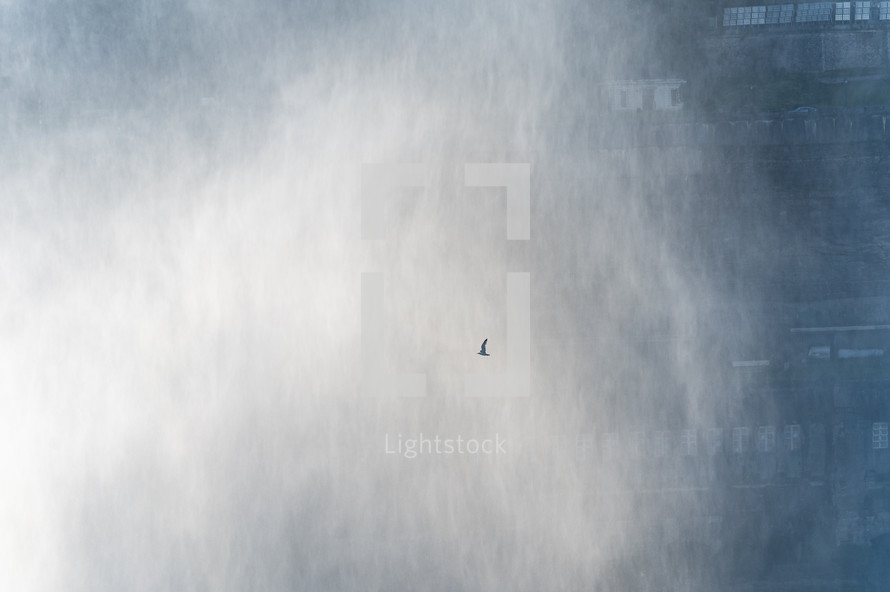 Bird Flying Through Niagara Mist