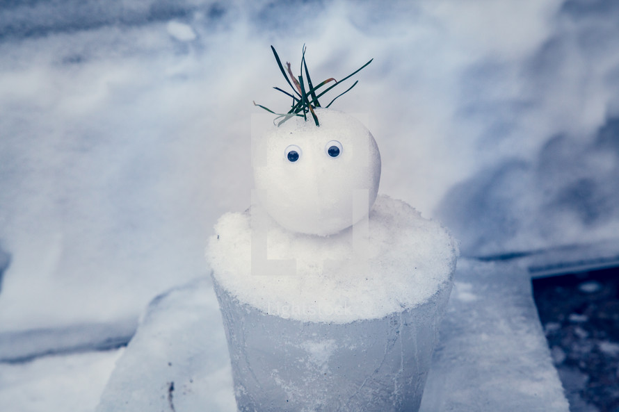 Tiny Snowman closeup shows a surprised expression. Winter fun!