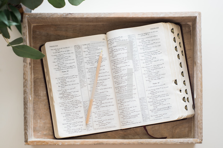 pencil on the pages of an open Bible sitting in a tray 
