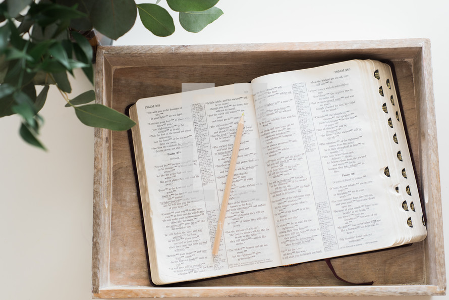 open Bible in a tray on a table 
