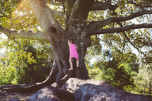 little girl climbing a tree 
