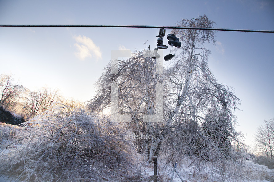 Frozen Shoes on a line are covered in ice from an ice storm above trees