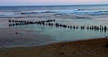 Christian Surfers make a cross in ocean, Western Australia 