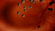 Illustration of a Virus Traveling inside a Body