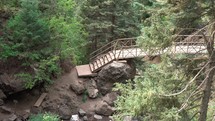 Scenic Bridge Overpass in Forest
