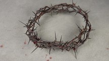 crown of thorns and blood 