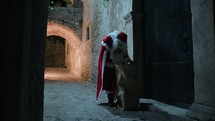 Santa Claus searching for present to deliver 